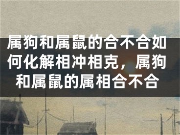属狗和属鼠的合不合如何化解相冲相克，属狗和属鼠的属相合不合