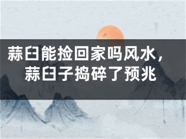 蒜臼能捡回家吗风水，蒜臼子捣碎了预兆