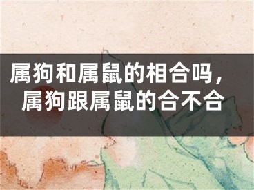 属狗和属鼠的相合吗，属狗跟属鼠的合不合
