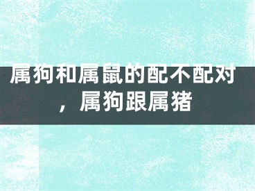 属狗和属鼠的配不配对，属狗跟属猪