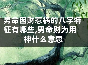 男命因财惹祸的八字特征有哪些,男命财为用神什么意思