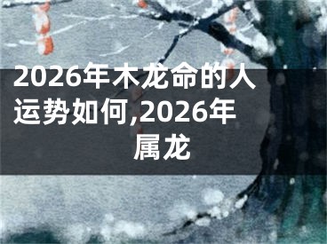 2026年木龙命的人运势如何,2026年属龙