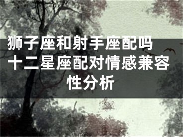 狮子座和射手座配吗 十二星座配对情感兼容性分析