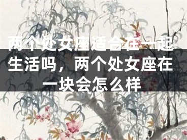 两个处女座适合在一起生活吗,两个处女座在一块会怎么样