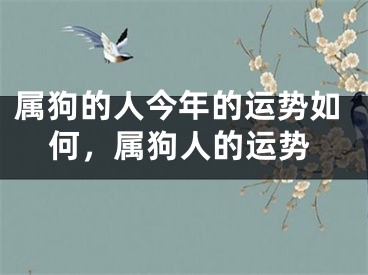 属狗的人今年的运势如何，属狗人的运势
