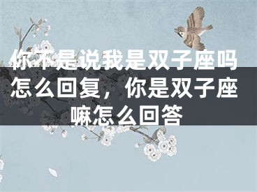 你不是说我是双子座吗怎么回复，你是双子座嘛怎么回答