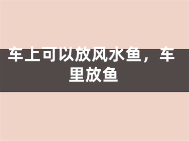 车上可以放风水鱼，车里放鱼