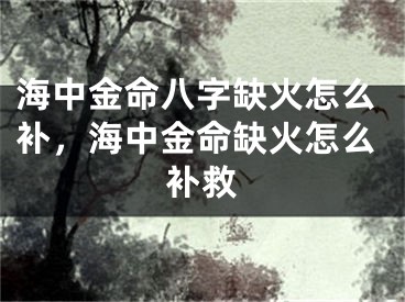 海中金命八字缺火怎么补，海中金命缺火怎么补救