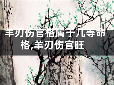 羊刃伤官格属于几等命格,羊刃伤官旺
