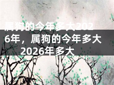 属狗的今年多大2026年，属狗的今年多大2026年多大