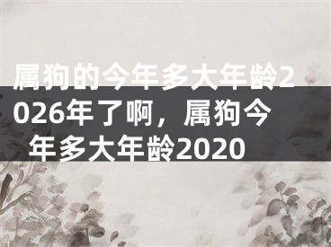 属狗的今年多大年龄2026年了啊，属狗今年多大年龄2020