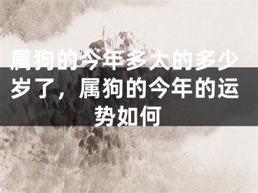 属狗的今年多大的多少岁了，属狗的今年的运势如何