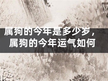 属狗的今年是多少岁，属狗的今年运气如何