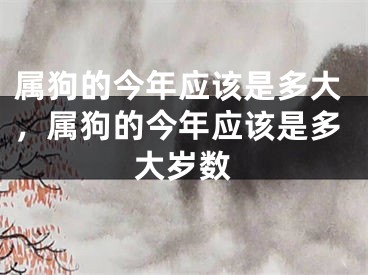 属狗的今年应该是多大，属狗的今年应该是多大岁数