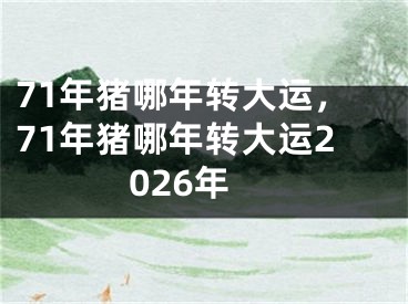 71年猪哪年转大运，71年猪哪年转大运2026年