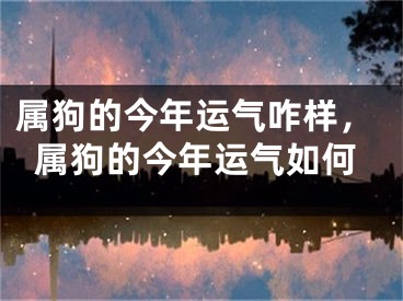 属狗的今年运气咋样，属狗的今年运气如何