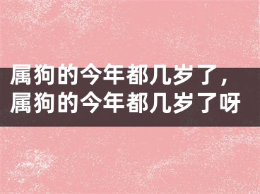 属狗的今年都几岁了，属狗的今年都几岁了呀