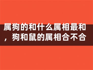 属狗的和什么属相最和，狗和鼠的属相合不合