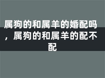 属狗的和属羊的婚配吗，属狗的和属羊的配不配
