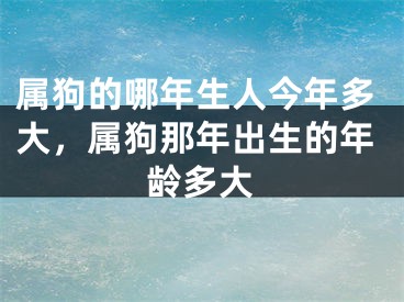 属狗的哪年生人今年多大，属狗那年出生的年龄多大