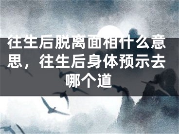 往生后脱离面相什么意思，往生后身体预示去哪个道