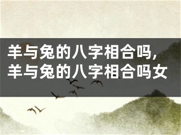 羊与兔的八字相合吗,羊与兔的八字相合吗女
