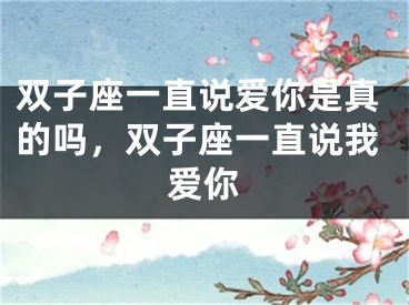 双子座一直说爱你是真的吗，双子座一直说我爱你