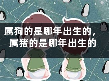 属狗的是哪年出生的，属猪的是哪年出生的
