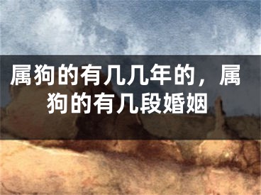 属狗的有几几年的，属狗的有几段婚姻