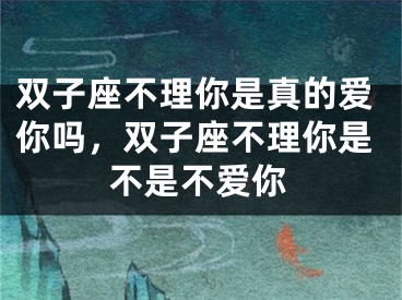 双子座不理你是真的爱你吗,双子座不理你是不是不爱你
