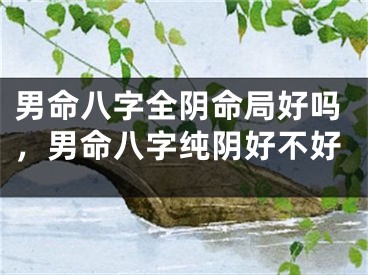 男命八字全阴命局好吗，男命八字纯阴好不好