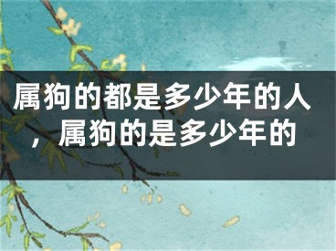 属狗的都是多少年的人，属狗的是多少年的