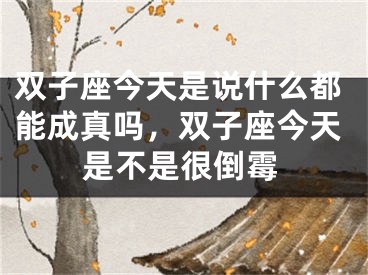 双子座今天是说什么都能成真吗，双子座今天是不是很倒霉