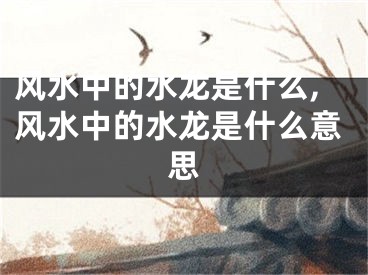 风水中的水龙是什么,风水中的水龙是什么意思