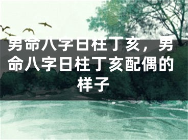 男命八字日柱丁亥，男命八字日柱丁亥配偶的样子