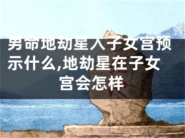 男命地劫星入子女宫预示什么,地劫星在子女宫会怎样