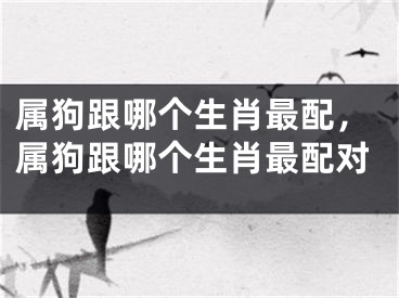 属狗跟哪个生肖最配，属狗跟哪个生肖最配对