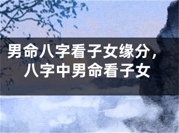男命八字看子女缘分，八字中男命看子女