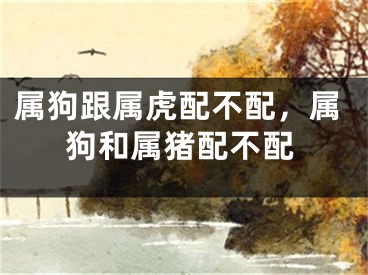 属狗跟属虎配不配，属狗和属猪配不配