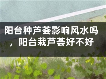 阳台种芦荟影响风水吗,阳台栽芦荟好不好