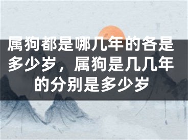 属狗都是哪几年的各是多少岁，属狗是几几年的分别是多少岁