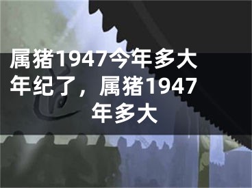属猪1947今年多大年纪了，属猪1947年多大