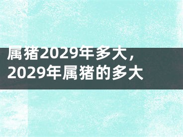 属猪2029年多大，2029年属猪的多大