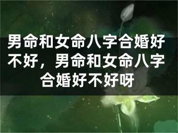 男命和女命八字合婚好不好，男命和女命八字合婚好不好呀