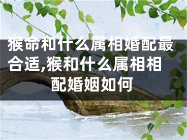 猴命和什么属相婚配最合适,猴和什么属相相配婚姻如何