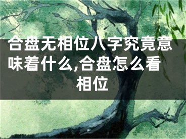 合盘无相位八字究竟意味着什么,合盘怎么看相位