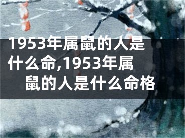 1953年属鼠的人是什么命,1953年属鼠的人是什么命格