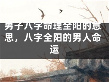 男子八字命理全阳的意思，八字全阳的男人命运
