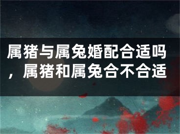 属猪与属兔婚配合适吗，属猪和属兔合不合适