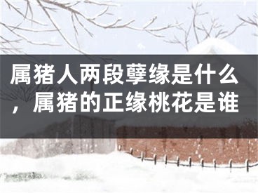 属猪人两段孽缘是什么，属猪的正缘桃花是谁